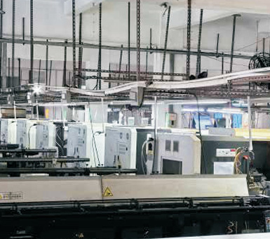 Environnement végétal