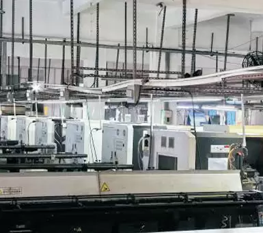 Environnement v&eacute;g&eacute;tal