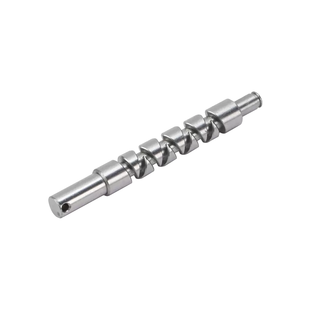 Engrenages &agrave; vis sans fin pour transmission multit&ecirc;tes MYD OD 10 &times; 196 mm, OD 48 &times; 131 mm, OD 5 &times; 42 mm